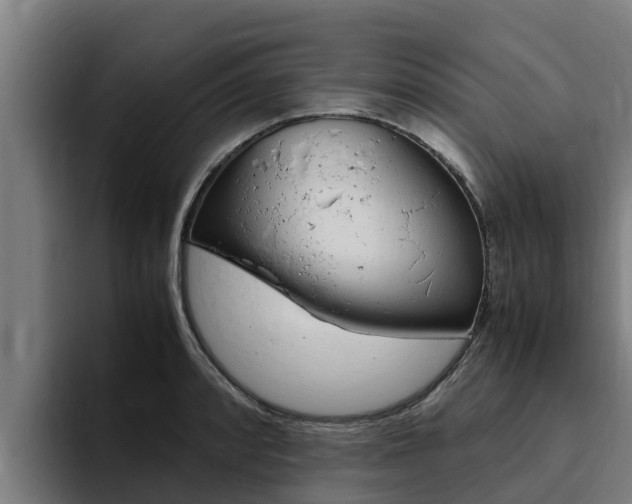 X0000094781088200711160845