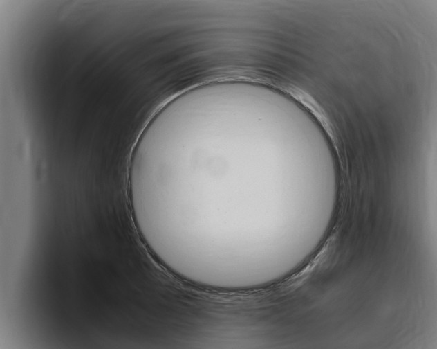 X0000094781089200711160845