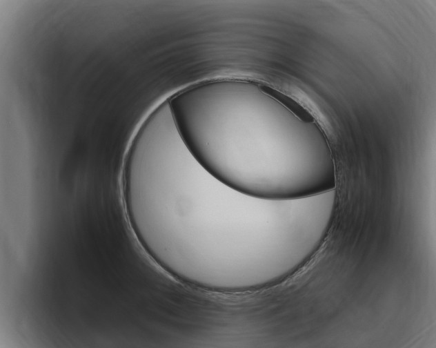 X0000094781092200711160845
