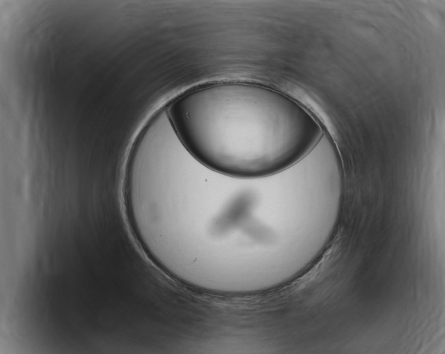 X0000094781093200711160845
