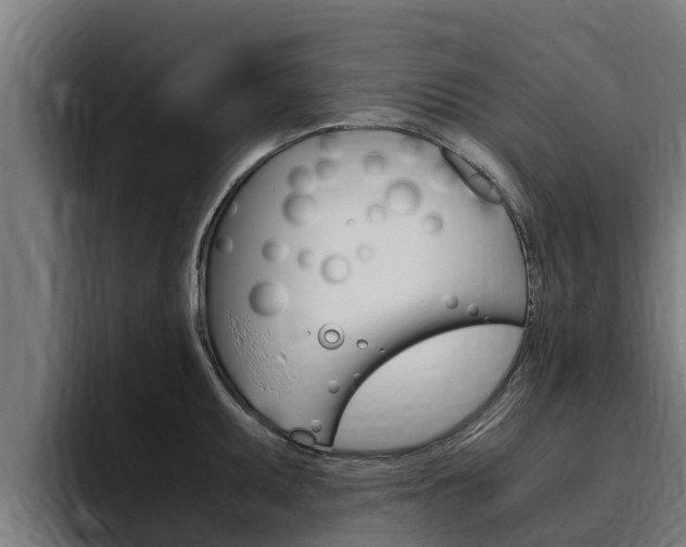 X0000094781095200711160845