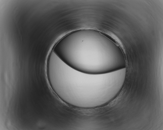 X0000094781096200711160845