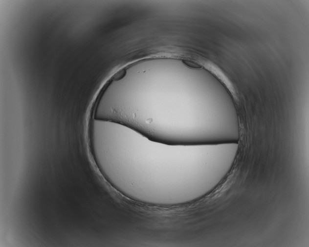 X0000094781099200711160845