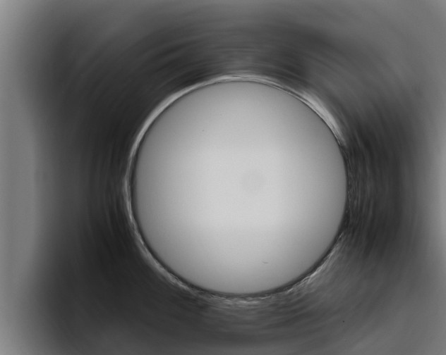 X0000094781100200711160845