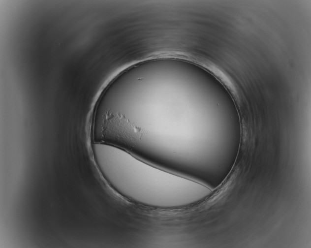 X0000094781102200711160845