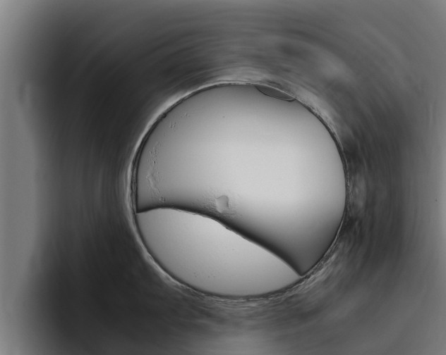 X0000094781103200711160845