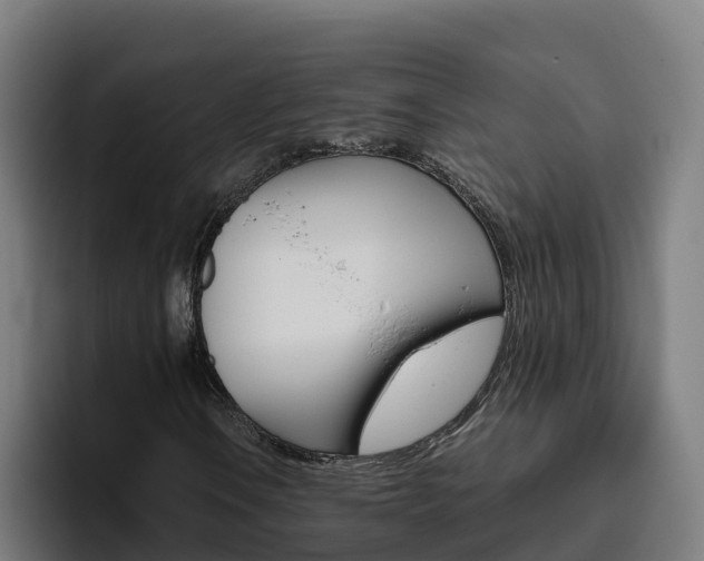 X0000094781106200711160844