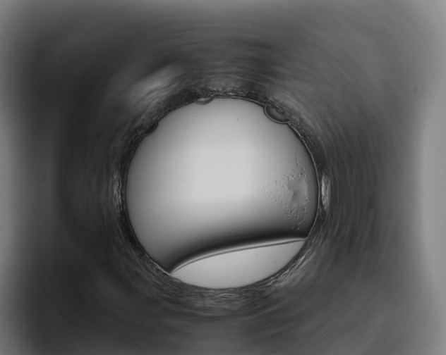 X0000094781107200711160844