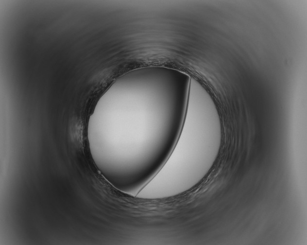 X0000094781108200711160844