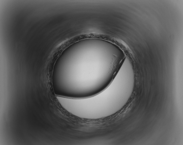 X0000094781112200711160845