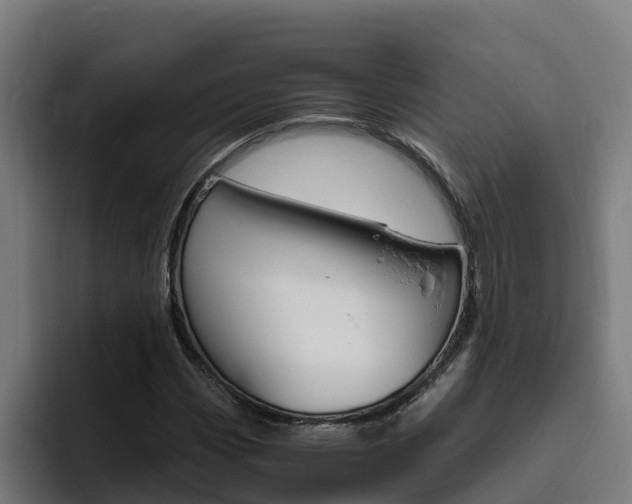 X0000094781113200711160845