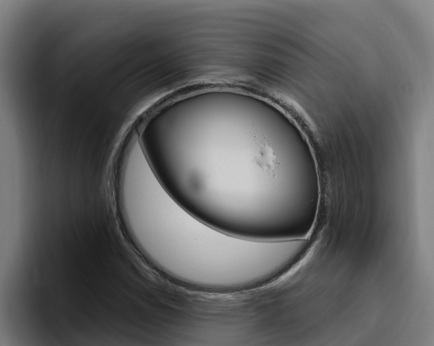 X0000094781114200711160845