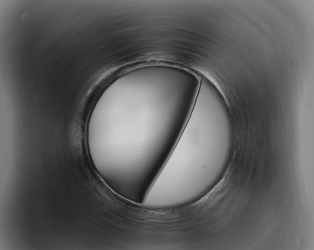 X0000094781115200711160845