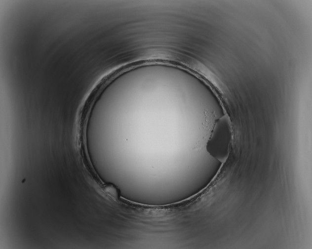X0000094781116200711160845