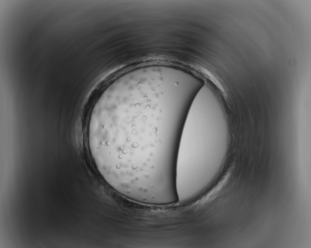X0000094781117200711160845