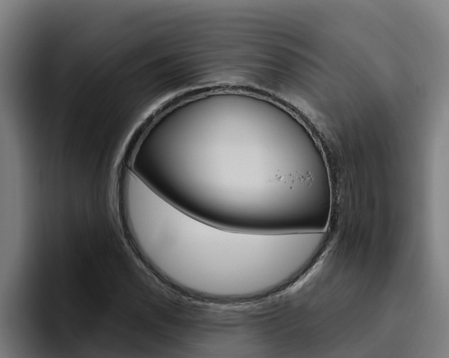 X0000094781118200711160845