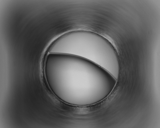 X0000094781120200711160845