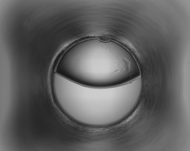 X0000094781122200711160845