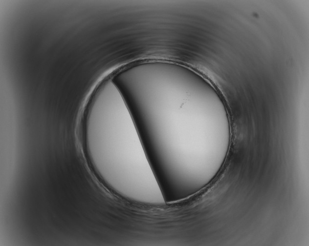 X0000094781123200711160845