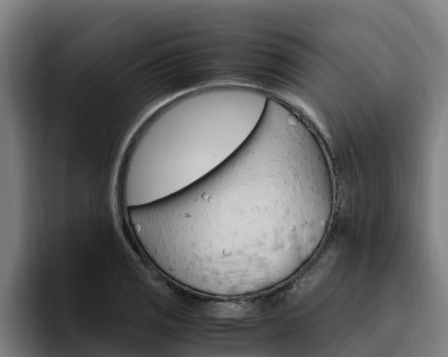 X0000094781125200711160845