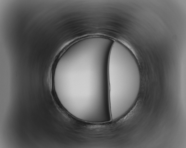 X0000094781127200711160845