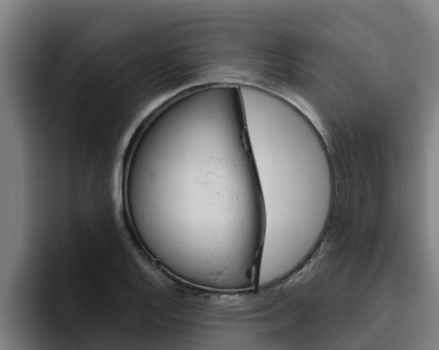 X0000094781128200711160845
