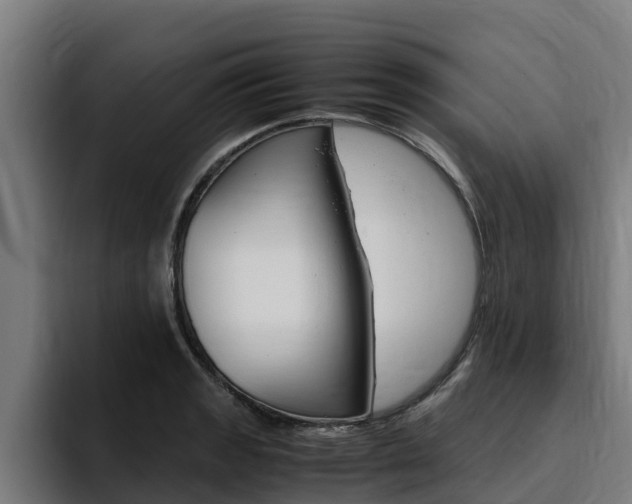 X0000094781133200711160845