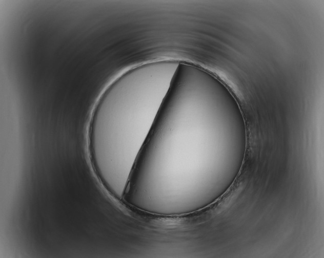 X0000094781134200711160845
