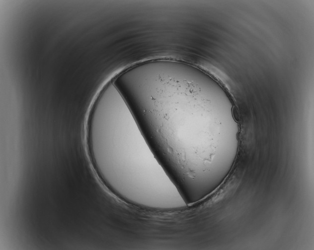 X0000094781135200711160845