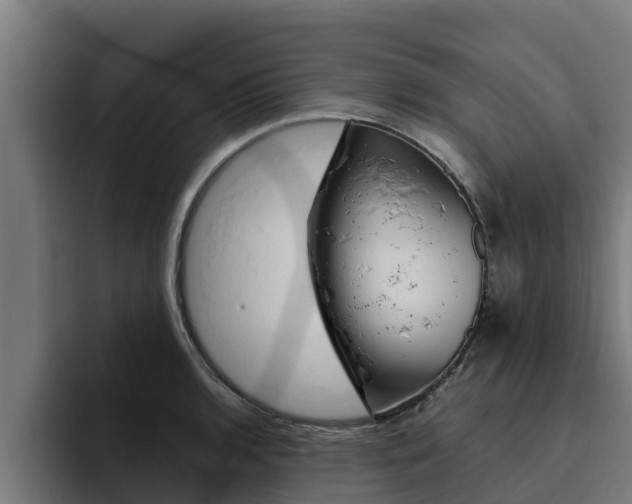 X0000094781136200711160845