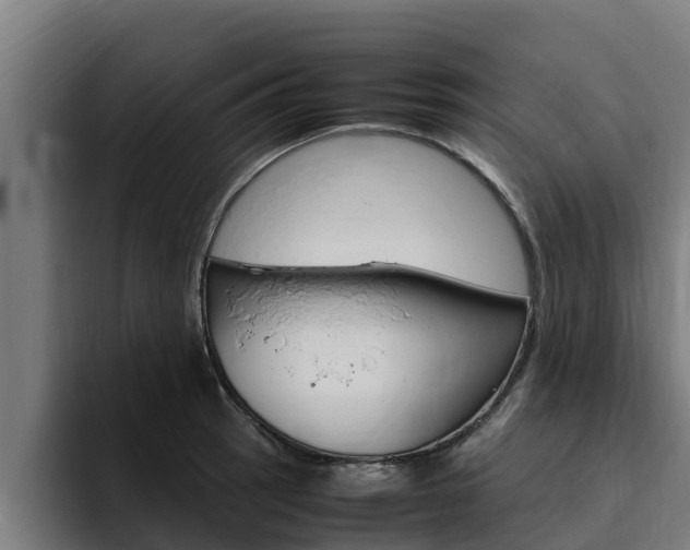 X0000094781137200711160845