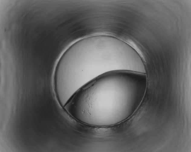 X0000094781140200711160845