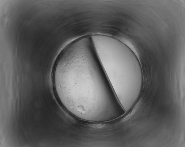X0000094781141200711160845