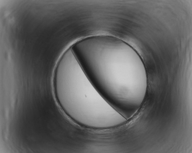 X0000094781142200711160845