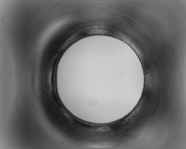X0000094781150200711160845