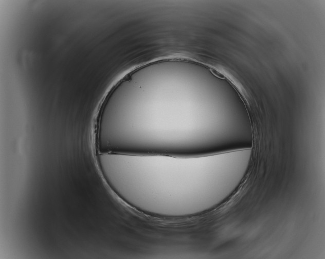 X0000094781151200711160845