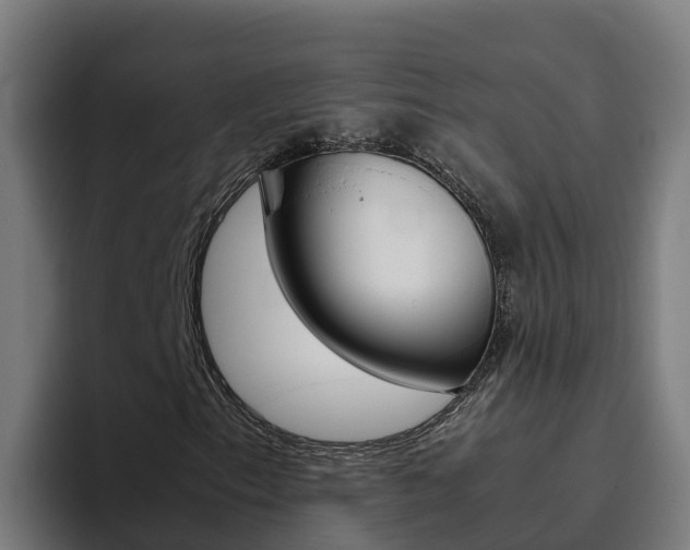 X0000094781153200711160844