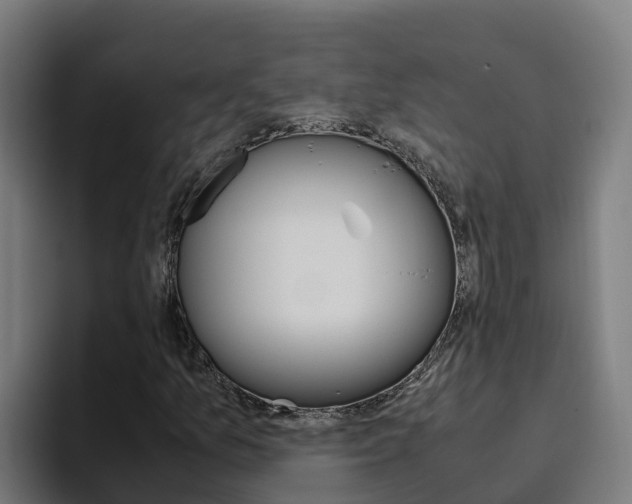 X0000094781157200711160844