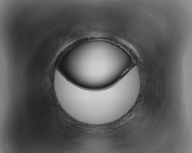X0000094781160200711160844