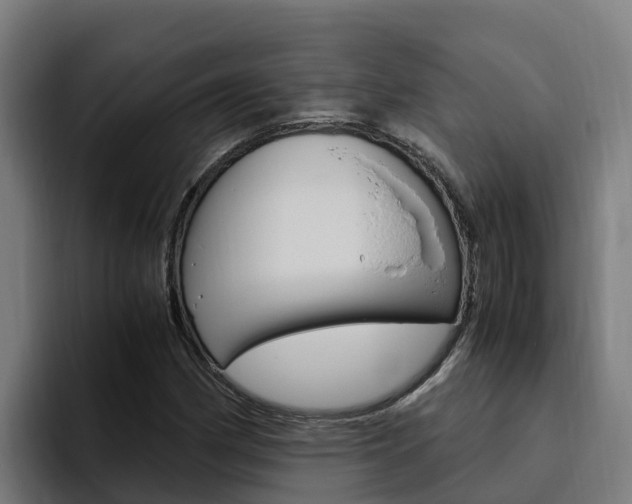 X0000094781162200711160844