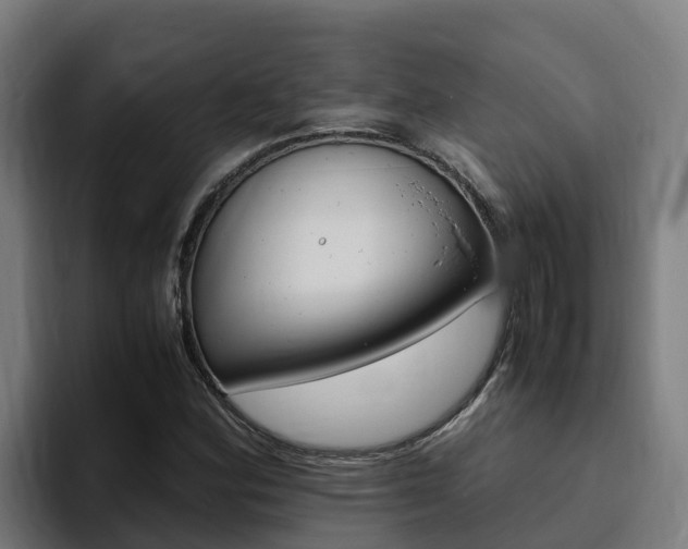 X0000094781164200711160844