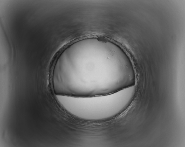 X0000094781165200711160844
