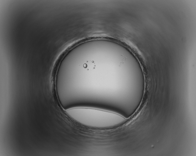 X0000094781167200711160844