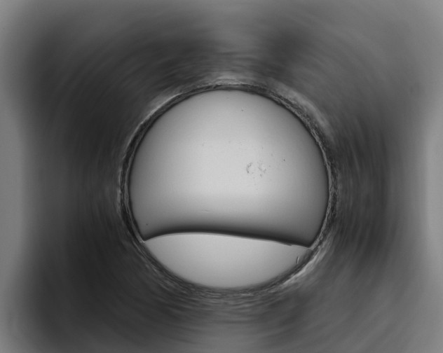 X0000094781170200711160844