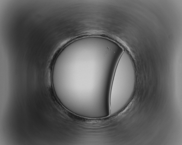 X0000094781171200711160844