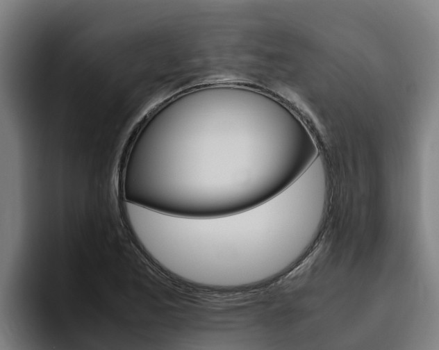 X0000094781173200711160844