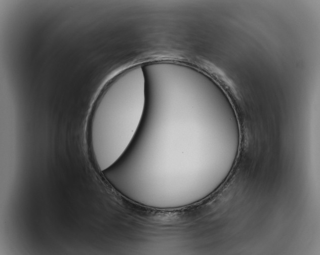 X0000094781174200711160844