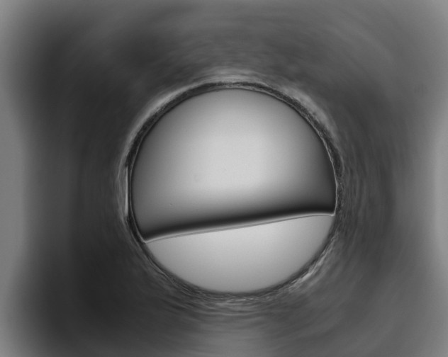 X0000094781175200711160844