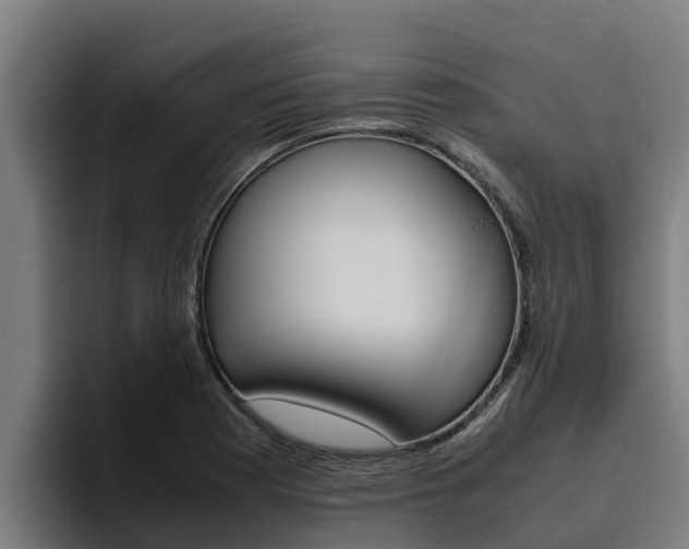 X0000094781177200711160844