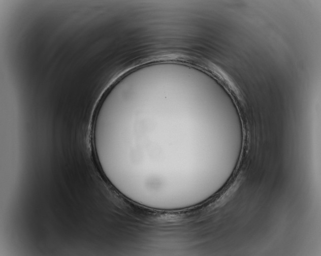 X0000094781178200711160844
